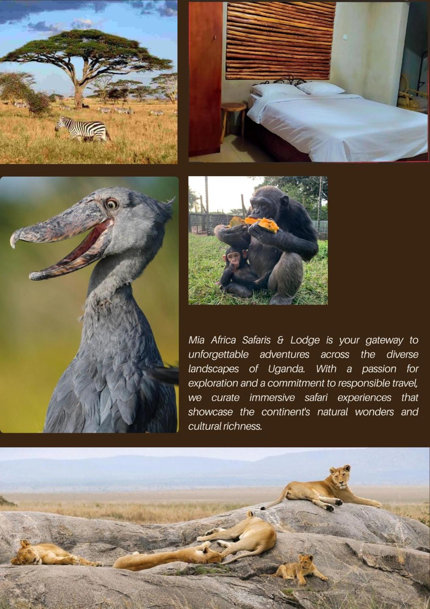 Mia Safari Lodge And Restaurant Entebbe Buitenkant foto